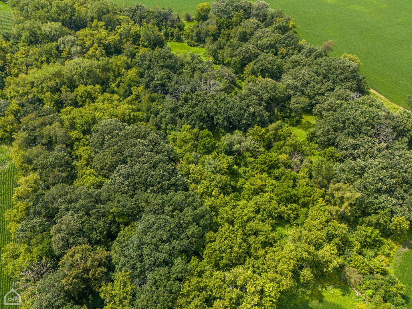 20105 Oak Grove Road Property Photo 35