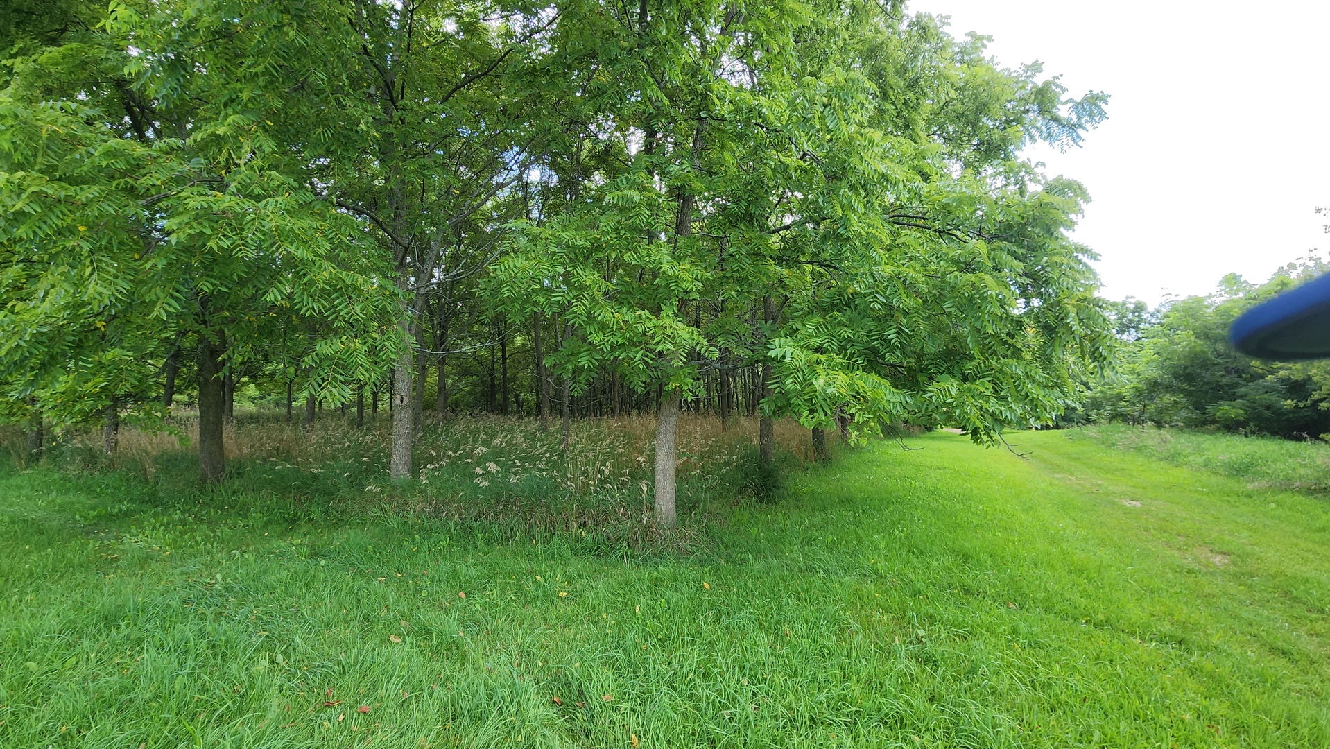 20105 Oak Grove Road Property Photo 48