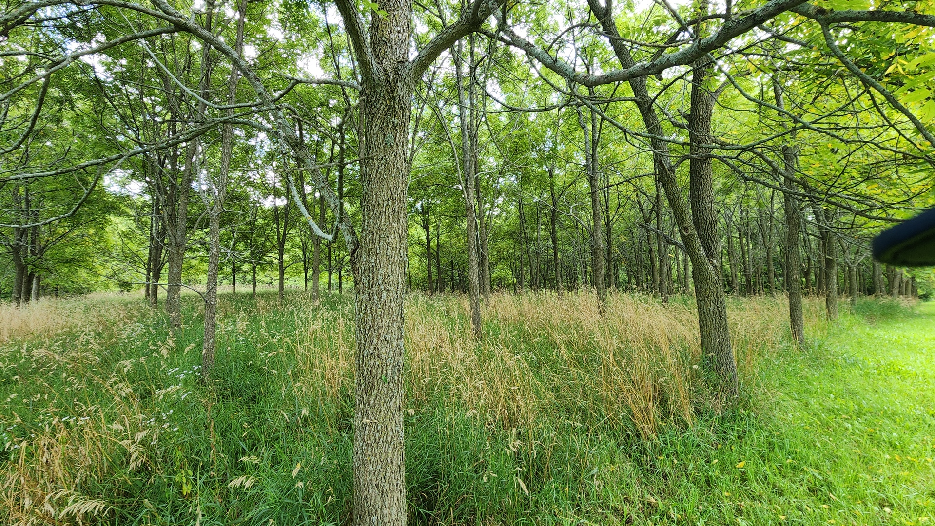 20105 Oak Grove Road Property Photo 49