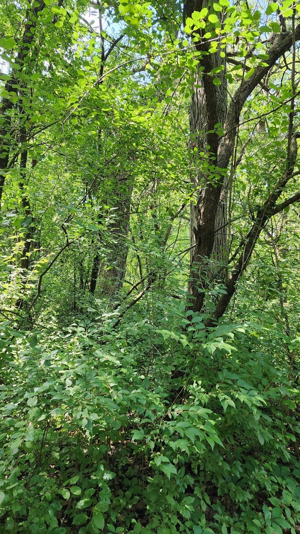 20105 Oak Grove Road Property Photo 56