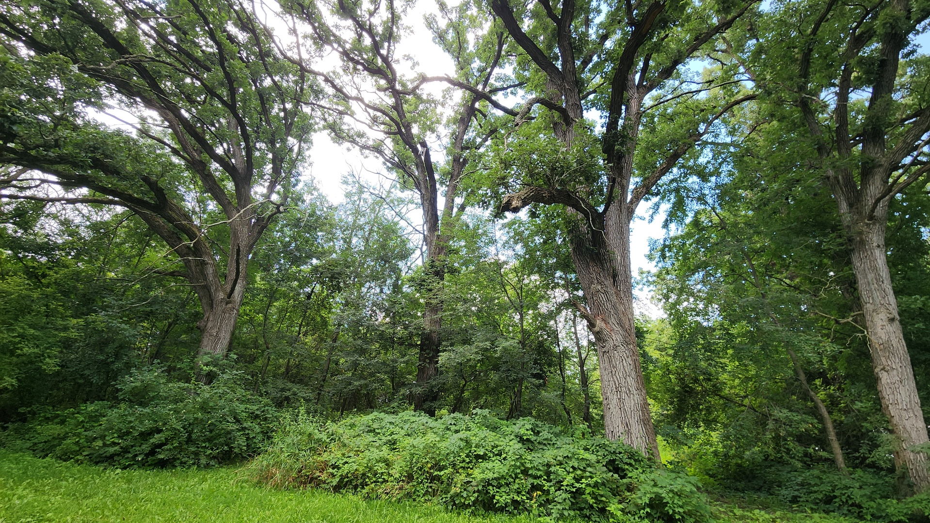 20105 Oak Grove Road Property Photo 59