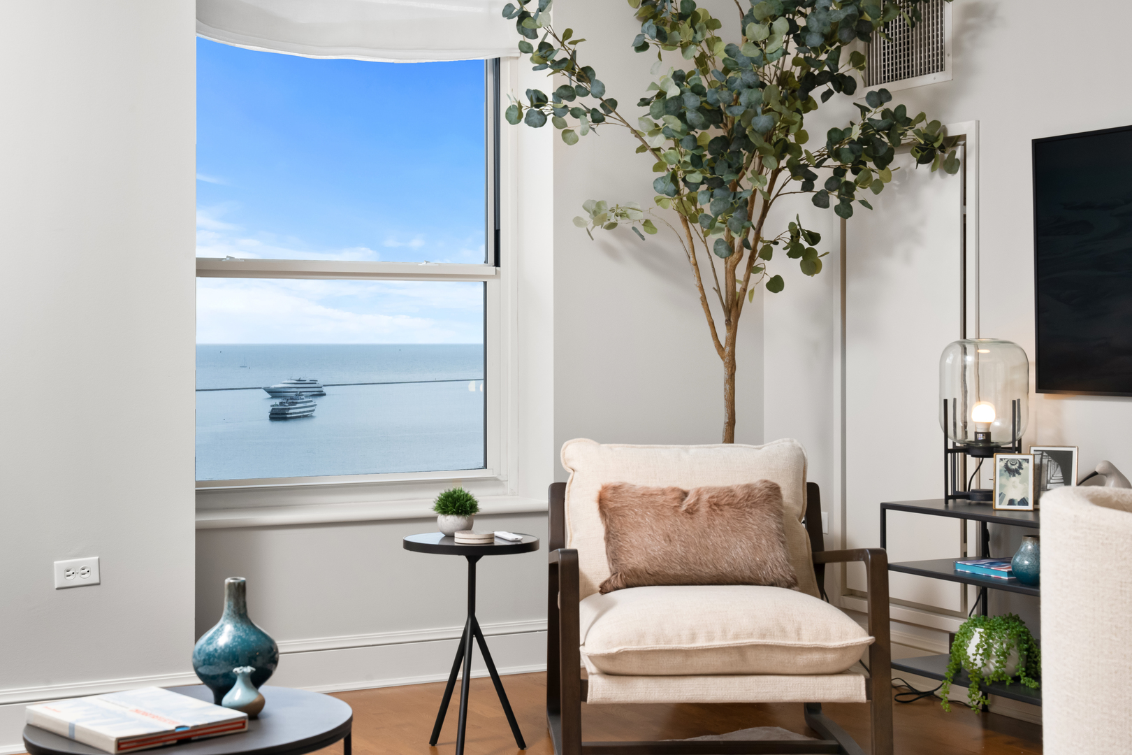 850 N Lake Shore Drive 409 Property Photo 4