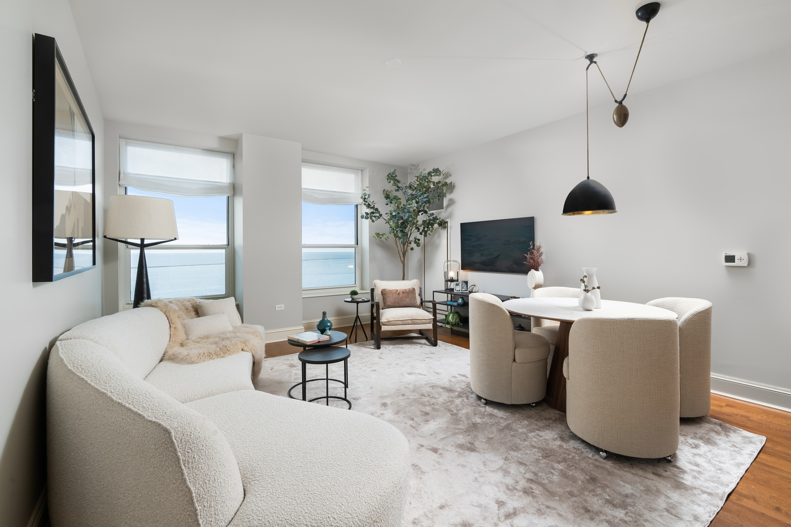 850 N Lake Shore Drive 409 Property Photo 5
