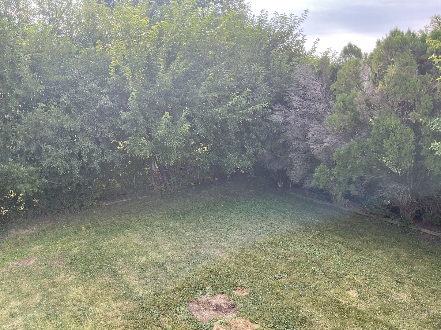 1429 S Busse Road Property Photo 18