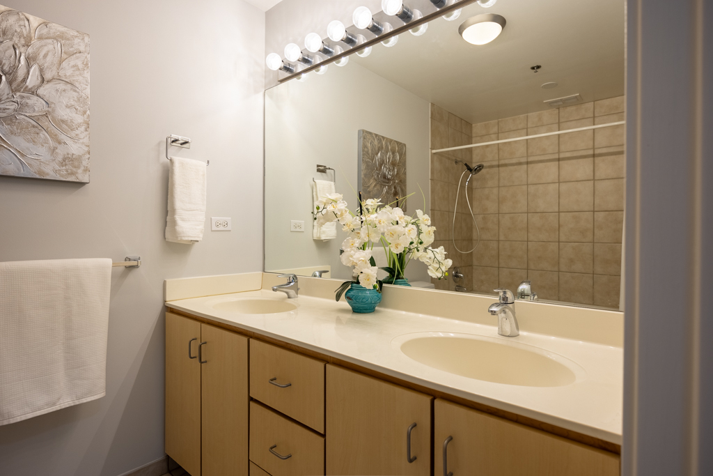 630 N Franklin Street 721 Property Photo 15