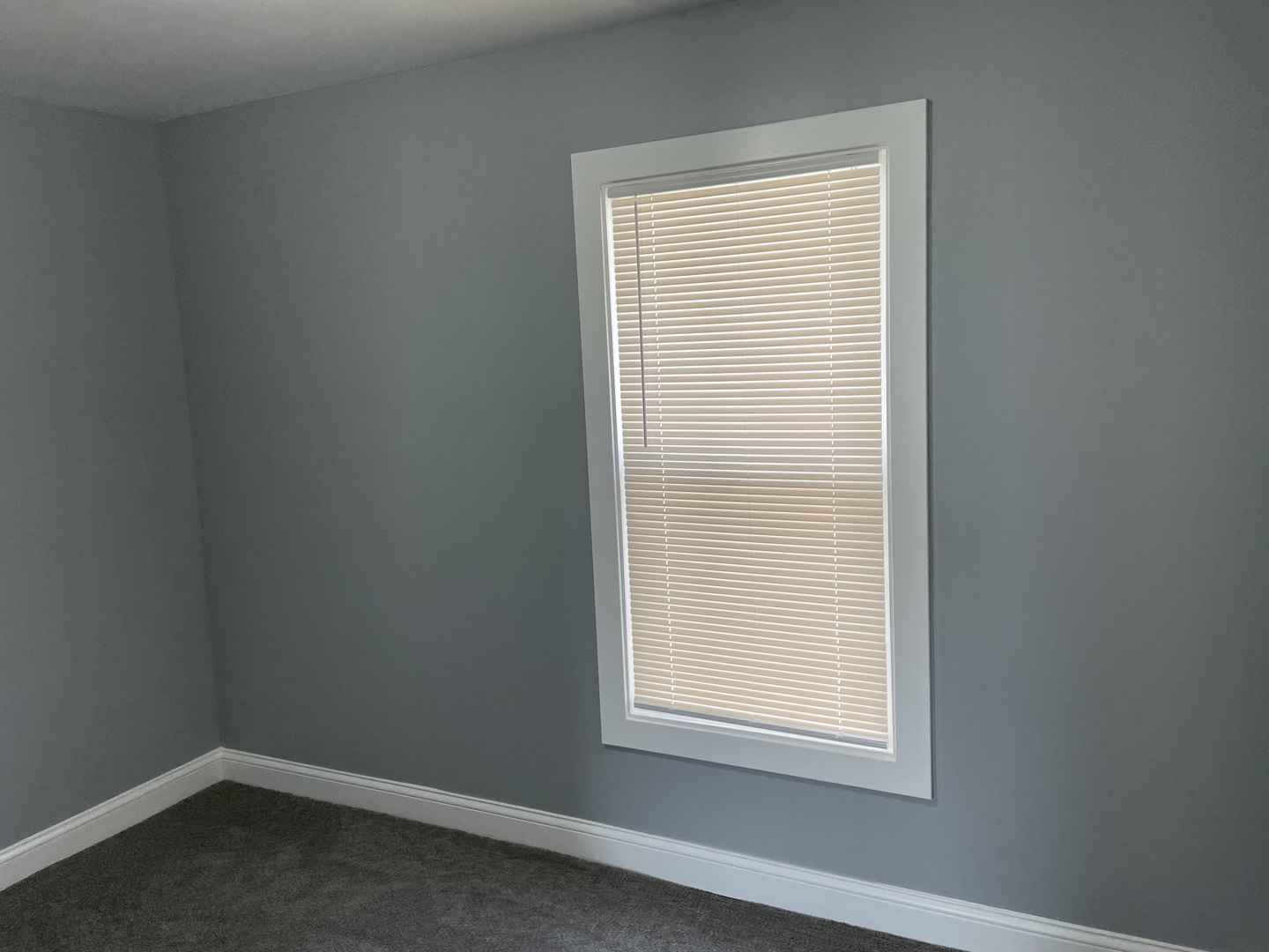 12033 S Wallace Street Property Photo 22
