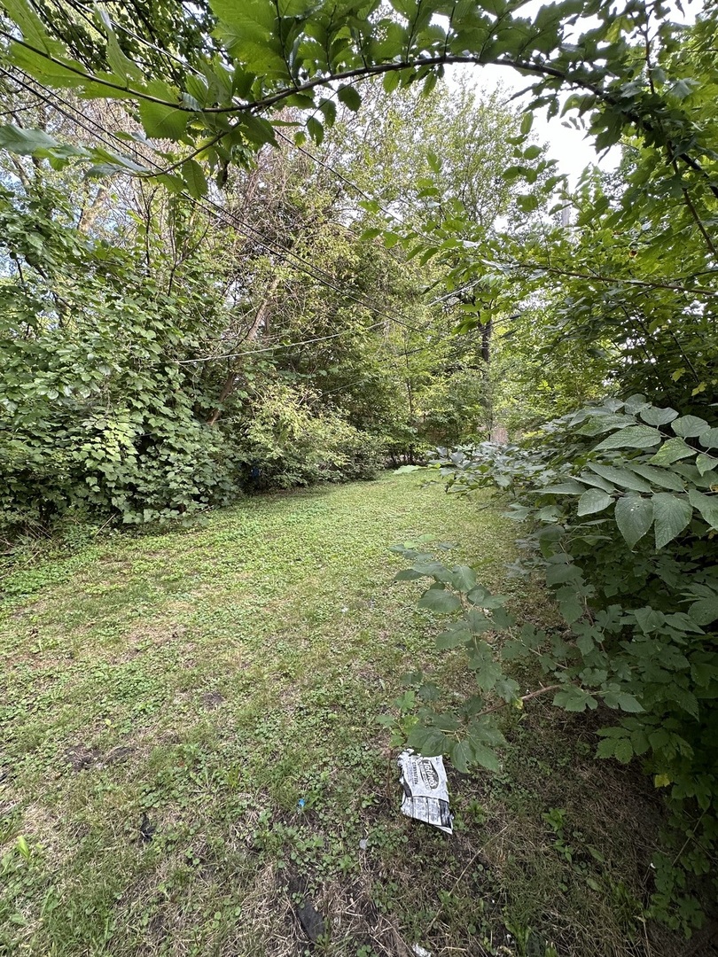 1311 E 69th Street Property Photo 23