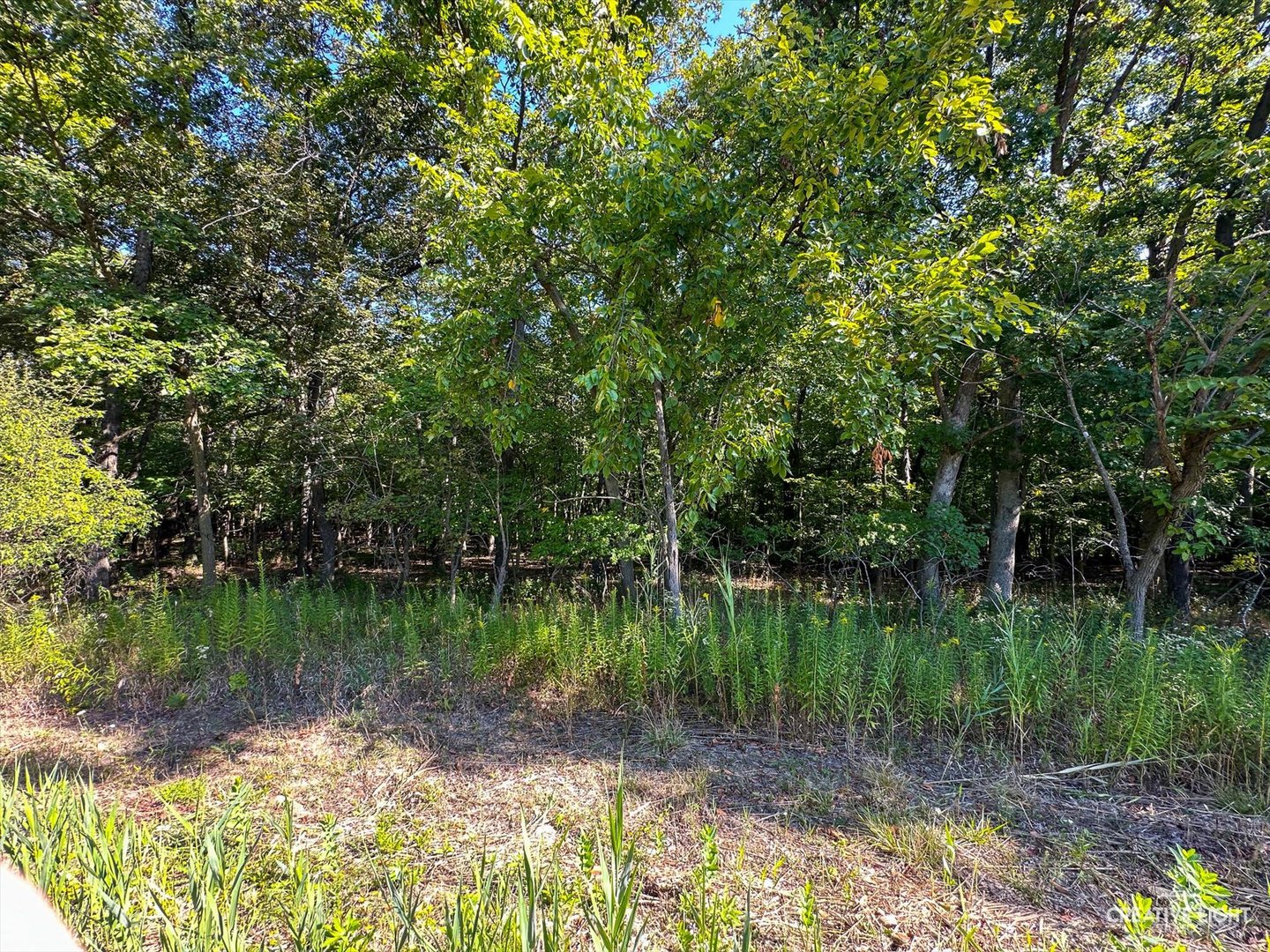 Lot 56 Eagle Chase Drive Property Photo 10
