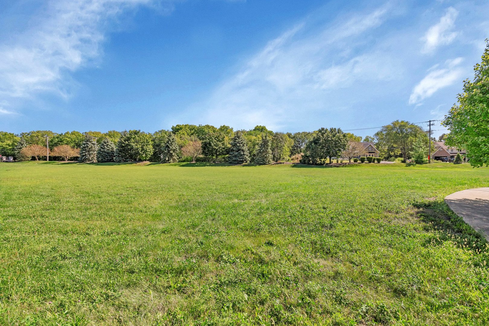 24822 W Wildberry Court Property Photo 2
