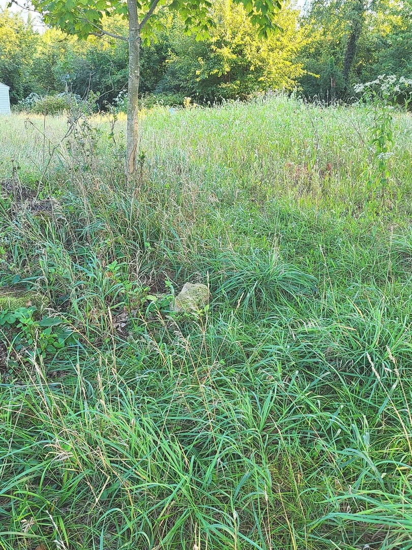 14/28 Woodhaven Property Photo 3