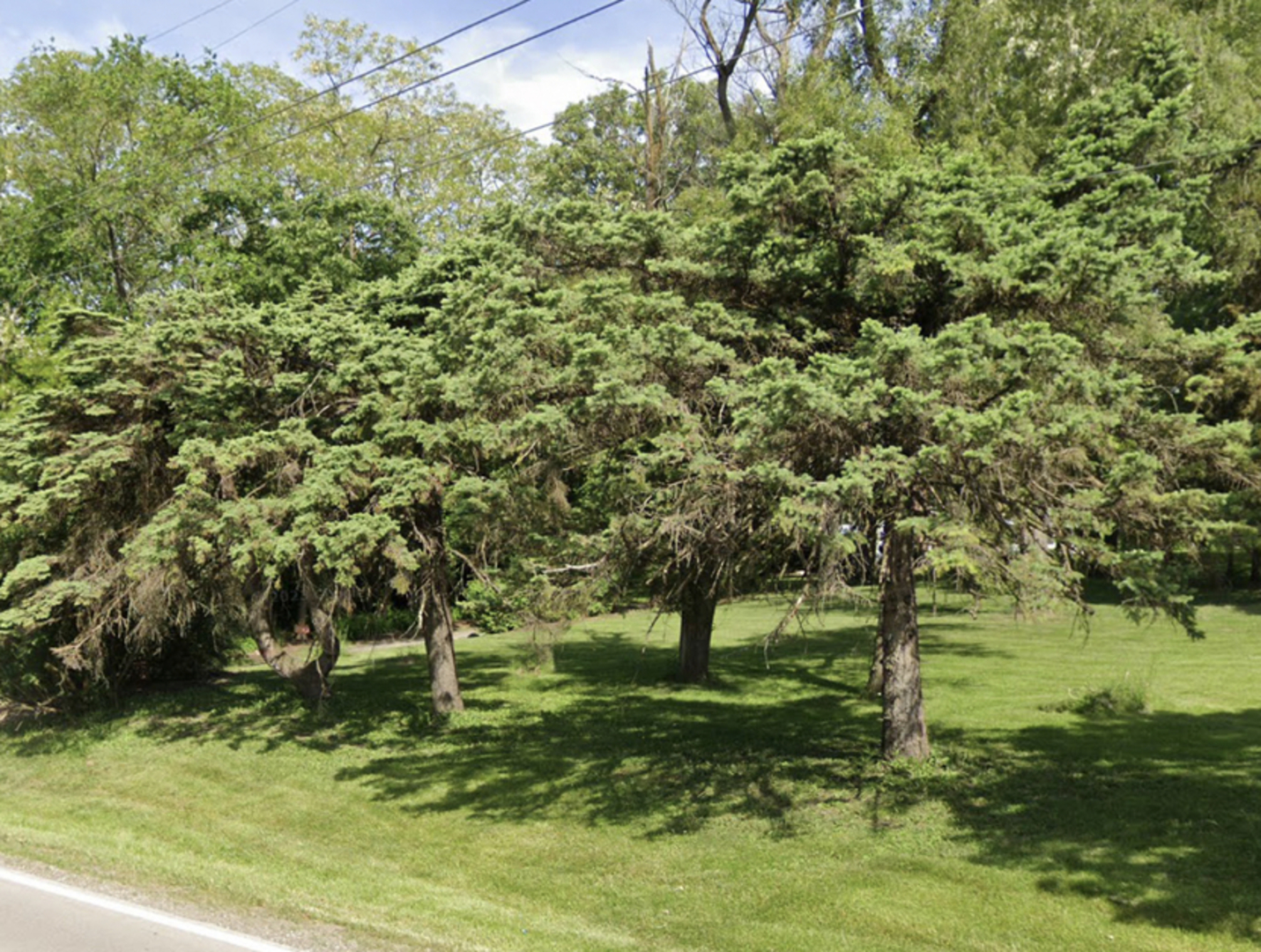 13242 W Chicago-bloomington Trail Property Photo 3