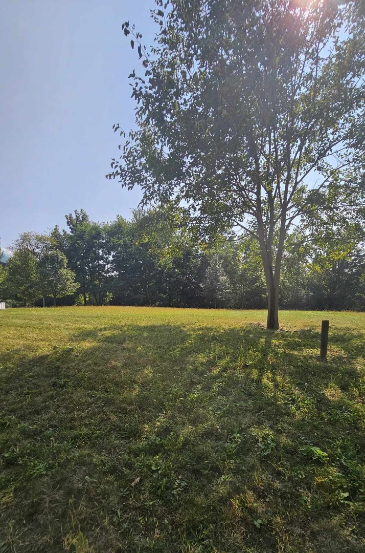 428 Woodland Trail Property Photo 1