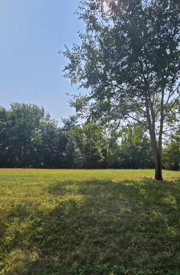 434 Woodland Trail Property Photo 1