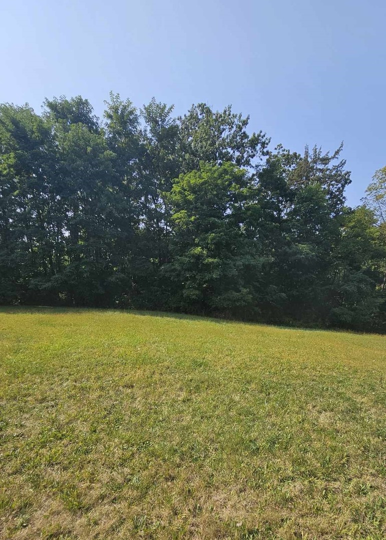 437 Woodland Trail Property Photo 2