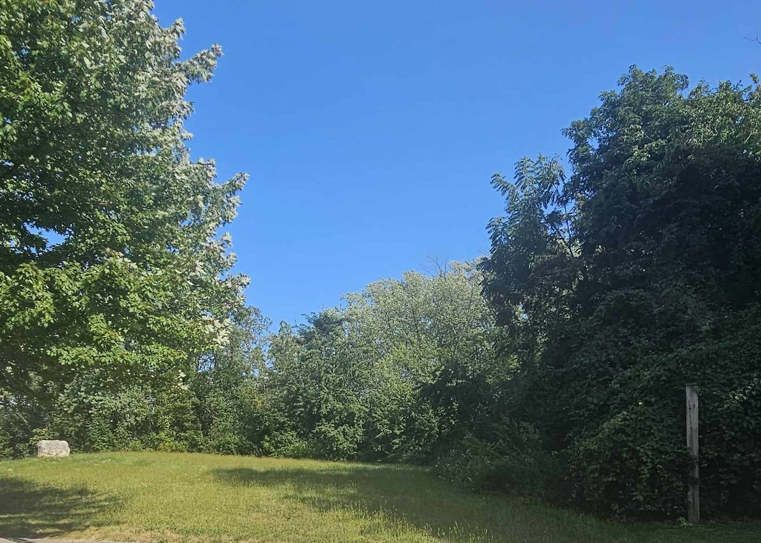 405 Woodland Trail Property Photo 1