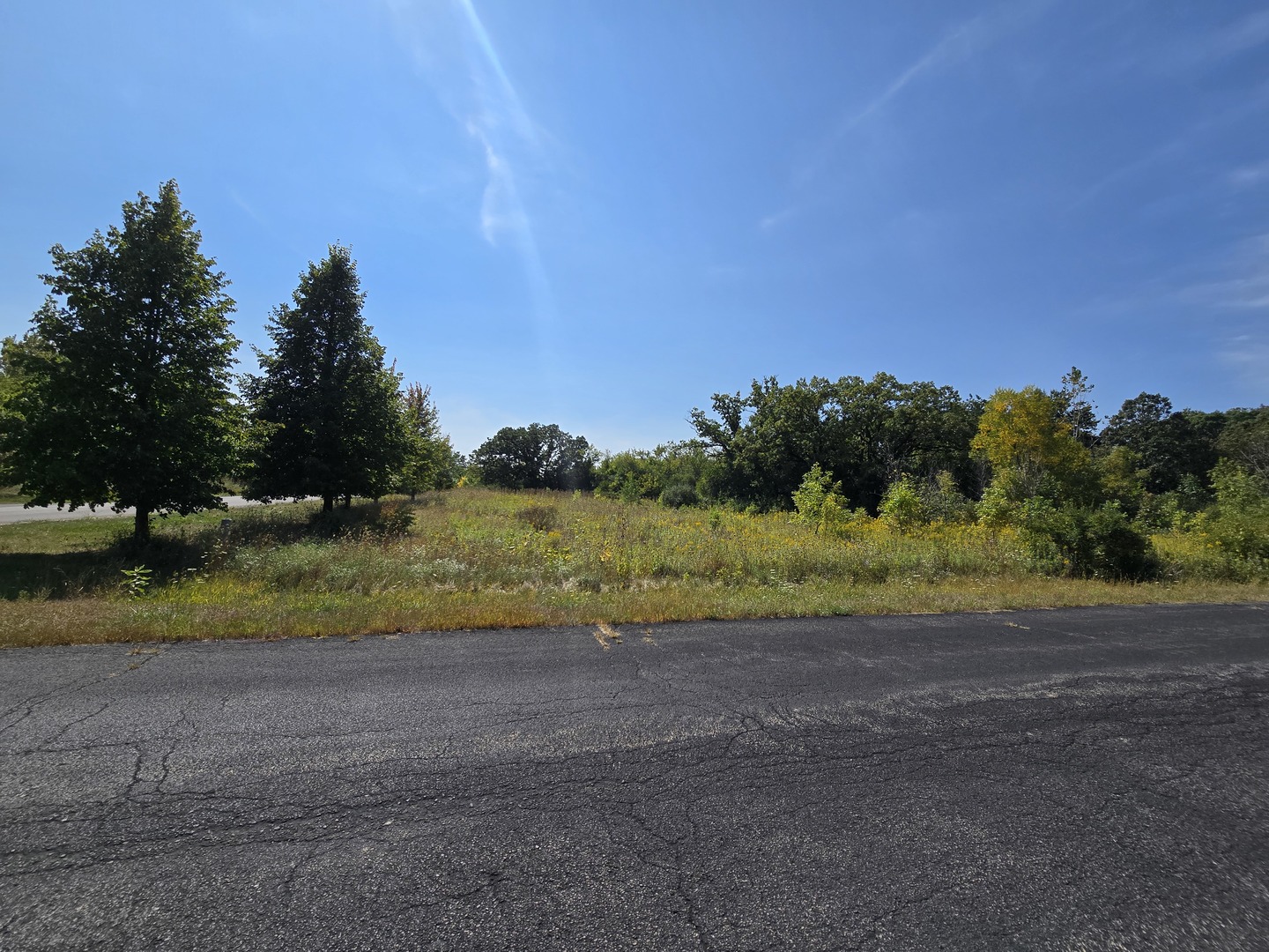 40342 N Belle Foret Drive Property Photo 2