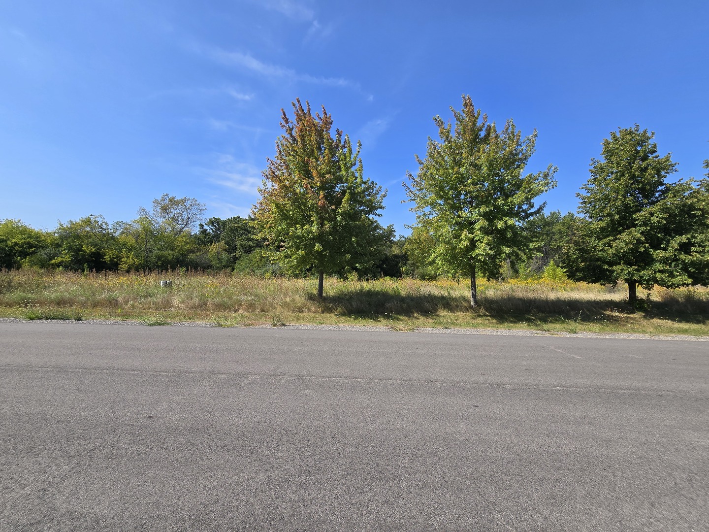 40342 N Belle Foret Drive Property Photo 3