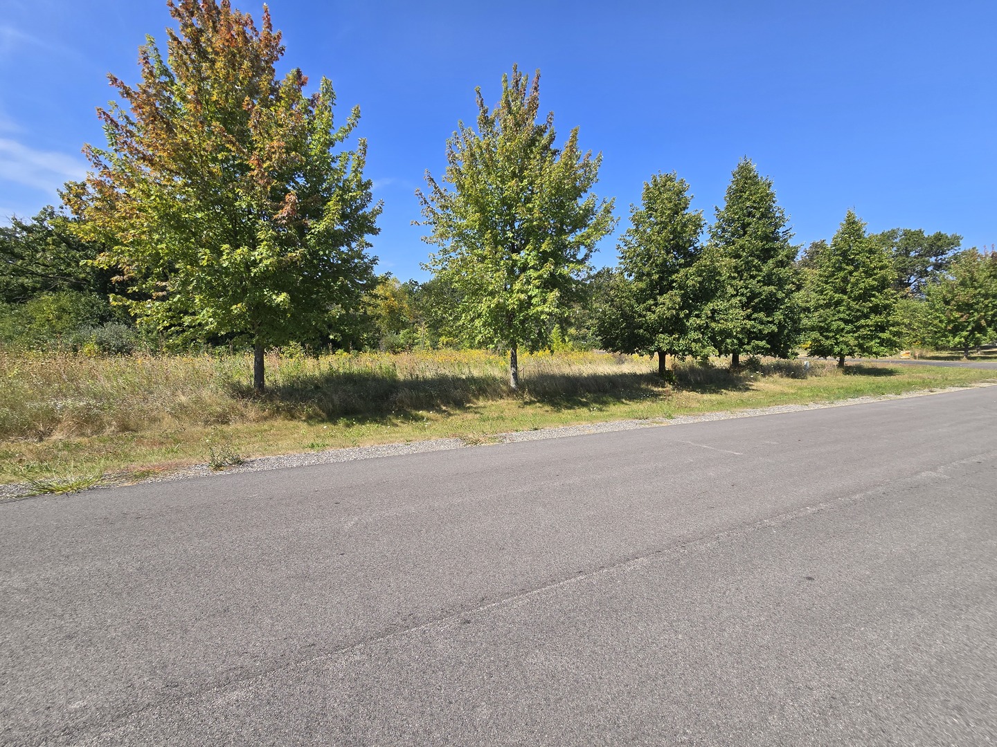 40342 N Belle Foret Drive Property Photo 4