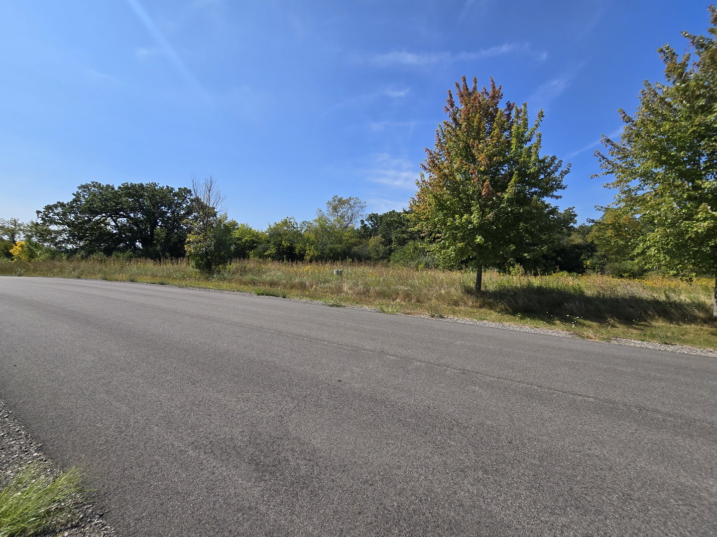 40342 N Belle Foret Drive Property Photo 5