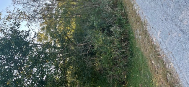 22828 Frederick Road Property Photo 2