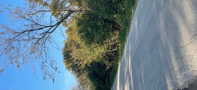 22828 Frederick Road Property Photo 6