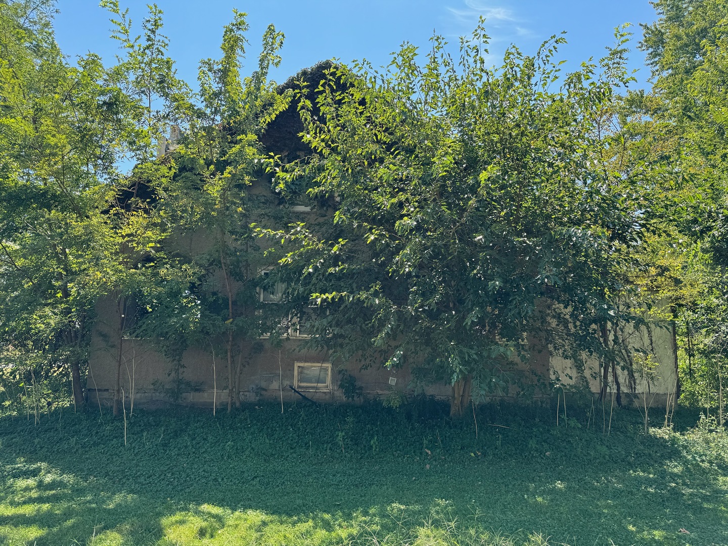 304 S Union Street Property Photo 2