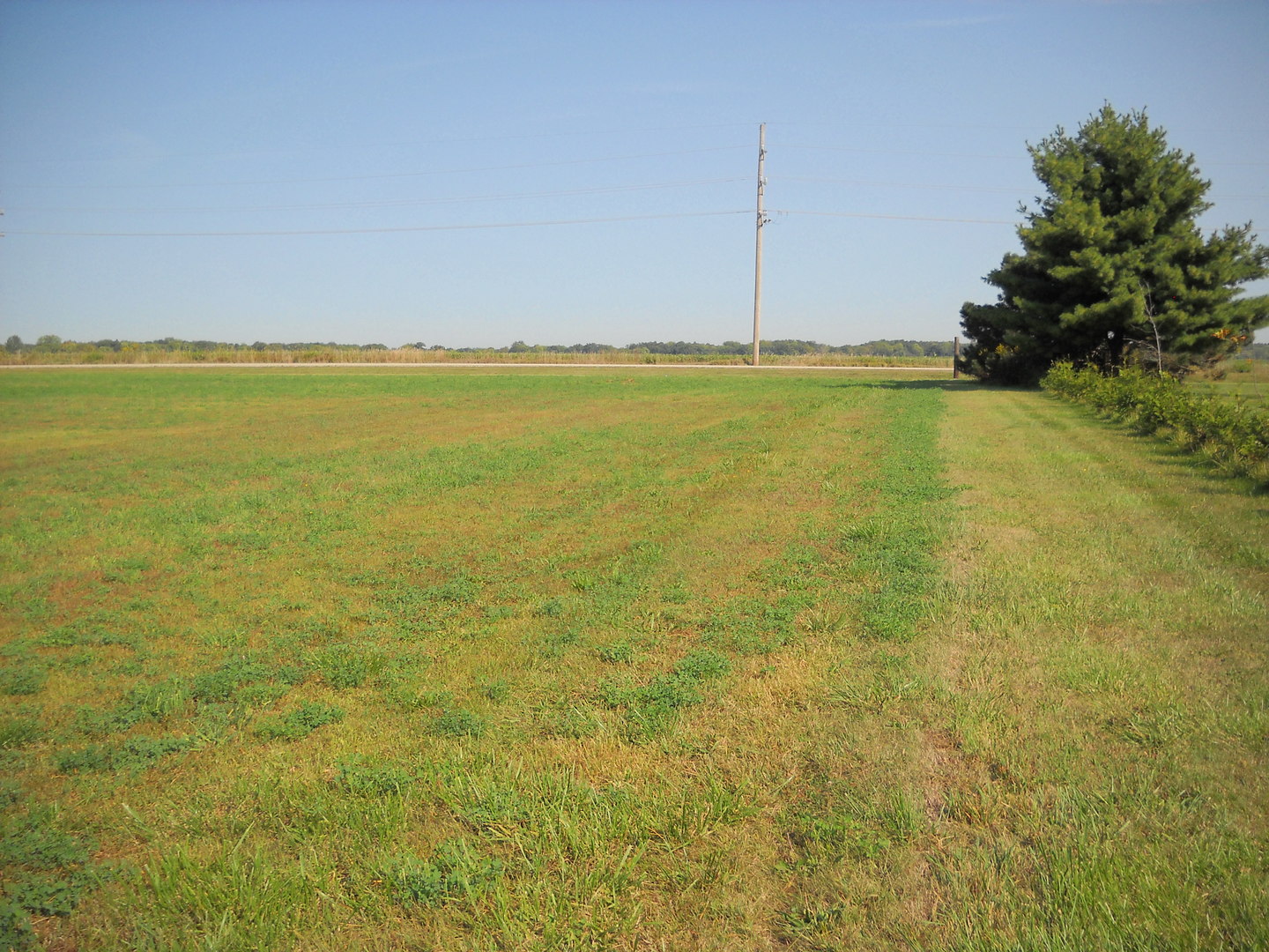6665 W Dupont Road Property Photo 4
