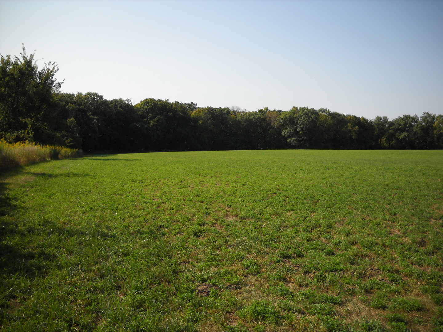 6665 W Dupont Road Property Photo 5