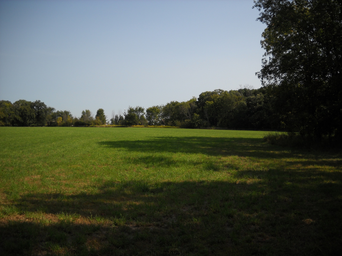6665 W Dupont Road Property Photo 12
