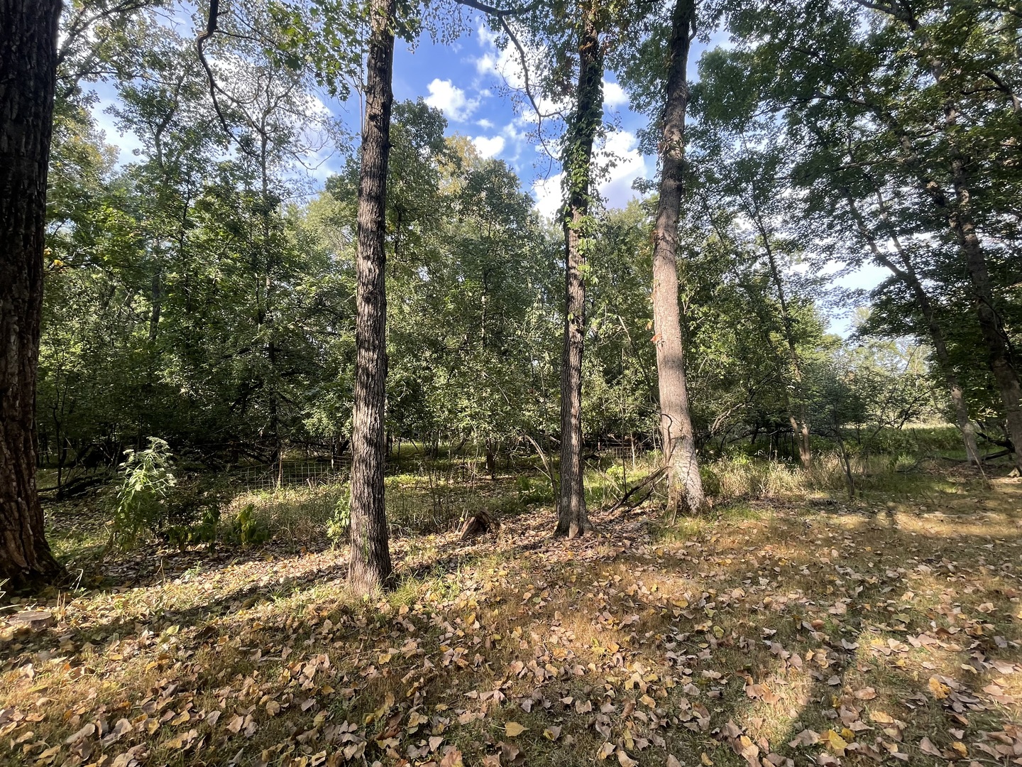 15-185 Woodhaven Lakes Property Photo 20