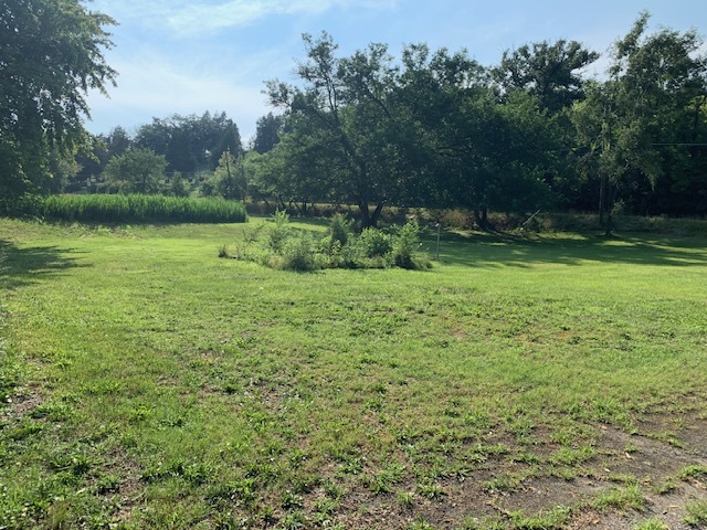 441 Crotty Lane Property Photo 4