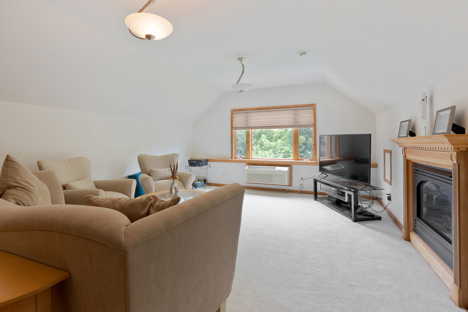 3210 Boerderij Way Property Photo 19