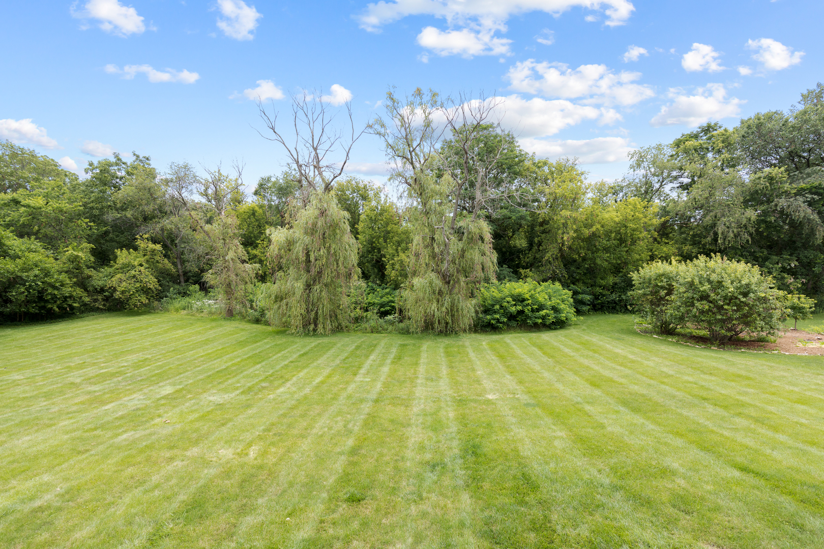 3210 Boerderij Way Property Photo 34