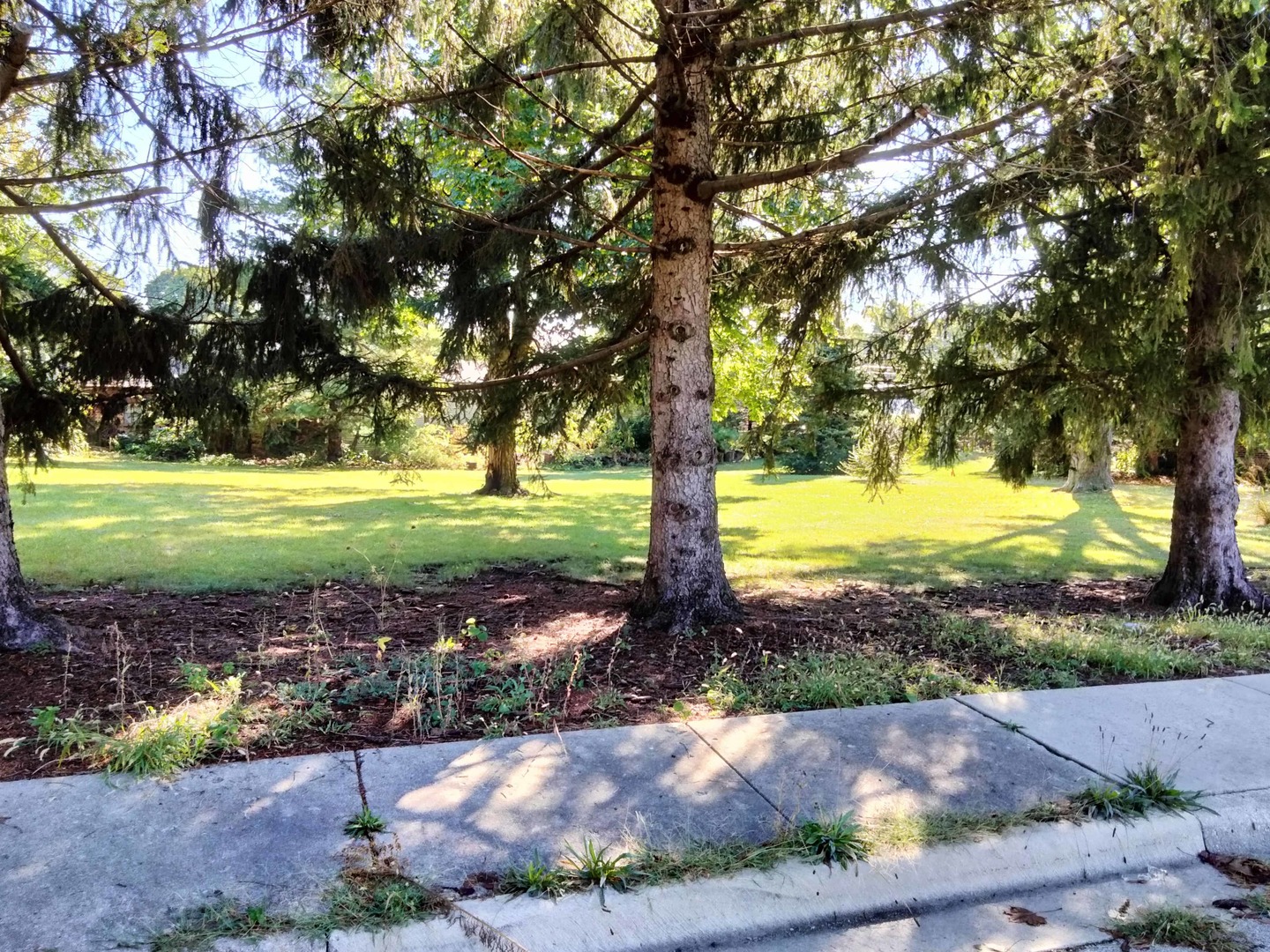 Lot N Alfred Avenue Property Photo 2