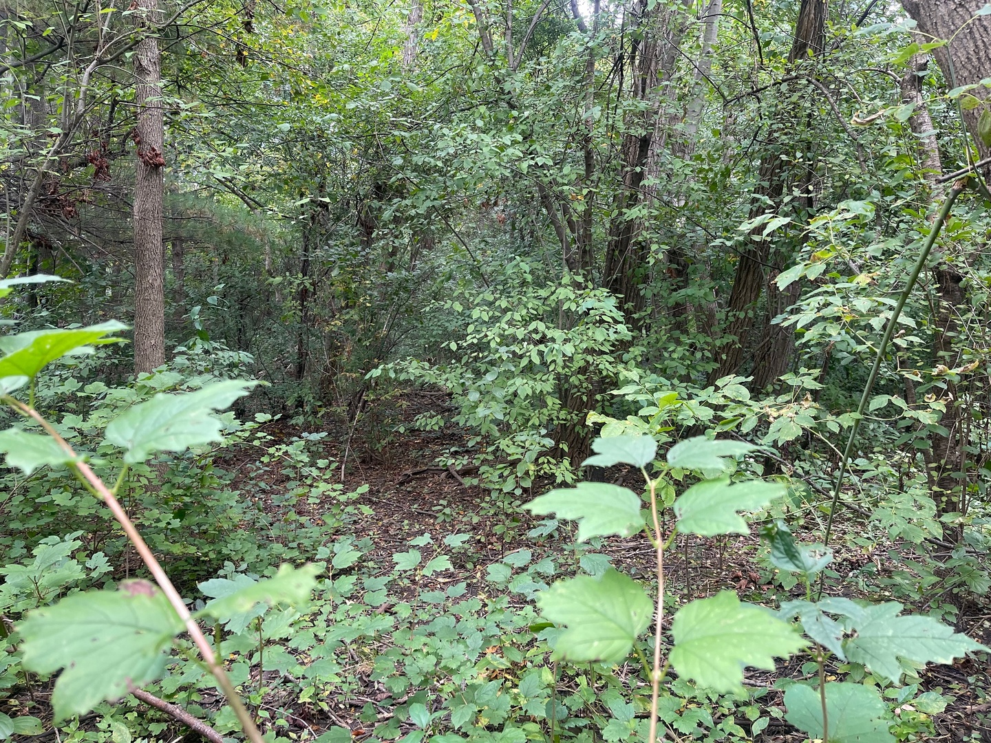 1351 N Sheridan Road Property Photo 2