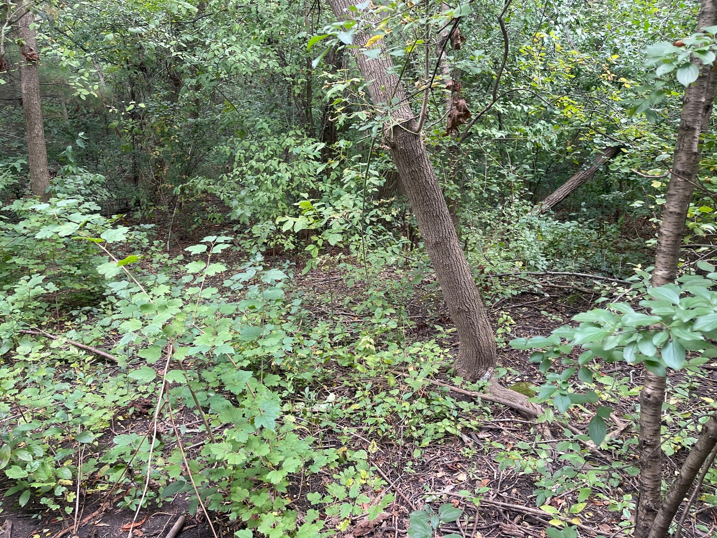 1351 N Sheridan Road Property Photo 3