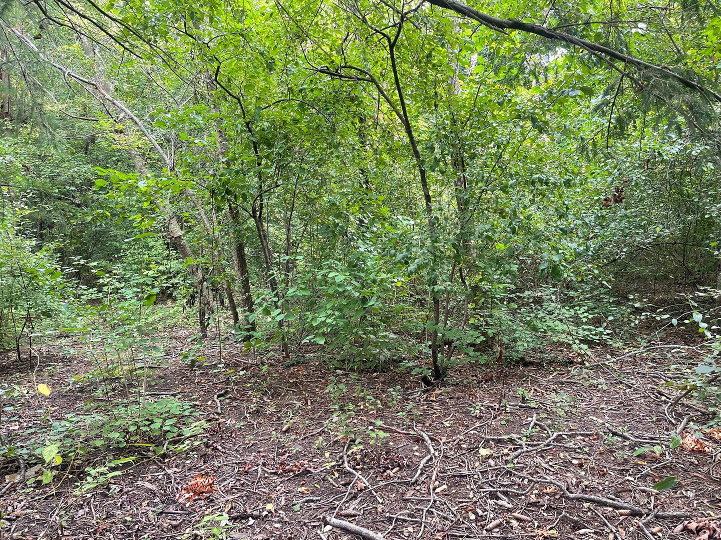 1351 N Sheridan Road Property Photo 4