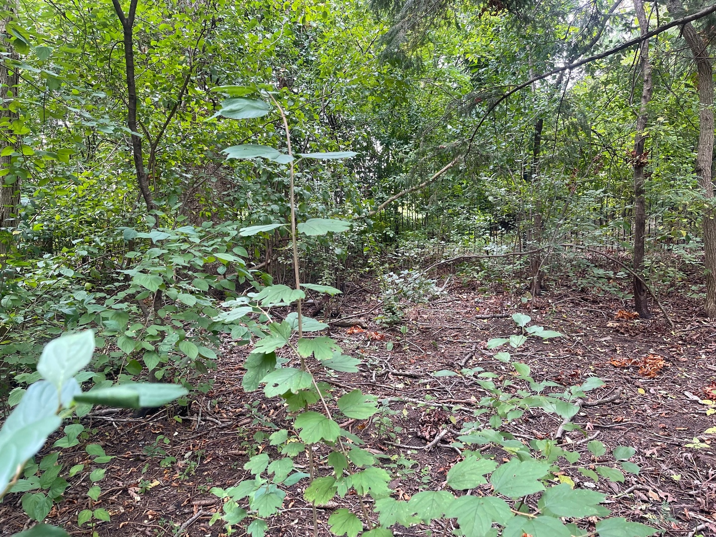 1351 N Sheridan Road Property Photo 5