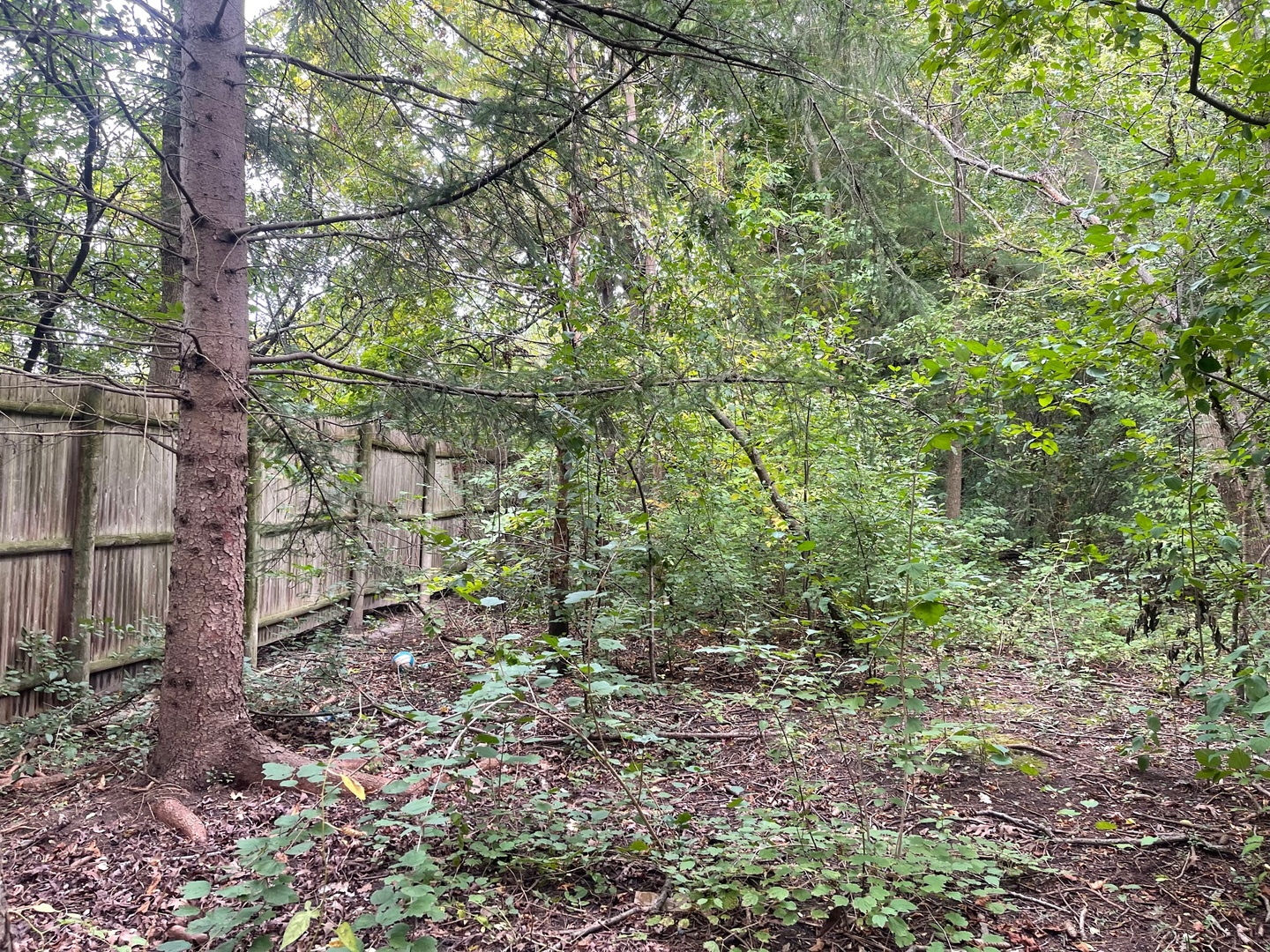 1351 N Sheridan Road Property Photo 6