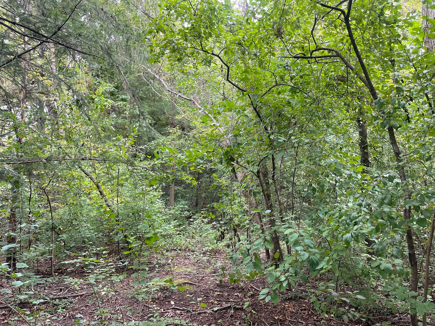 1351 N Sheridan Road Property Photo 7