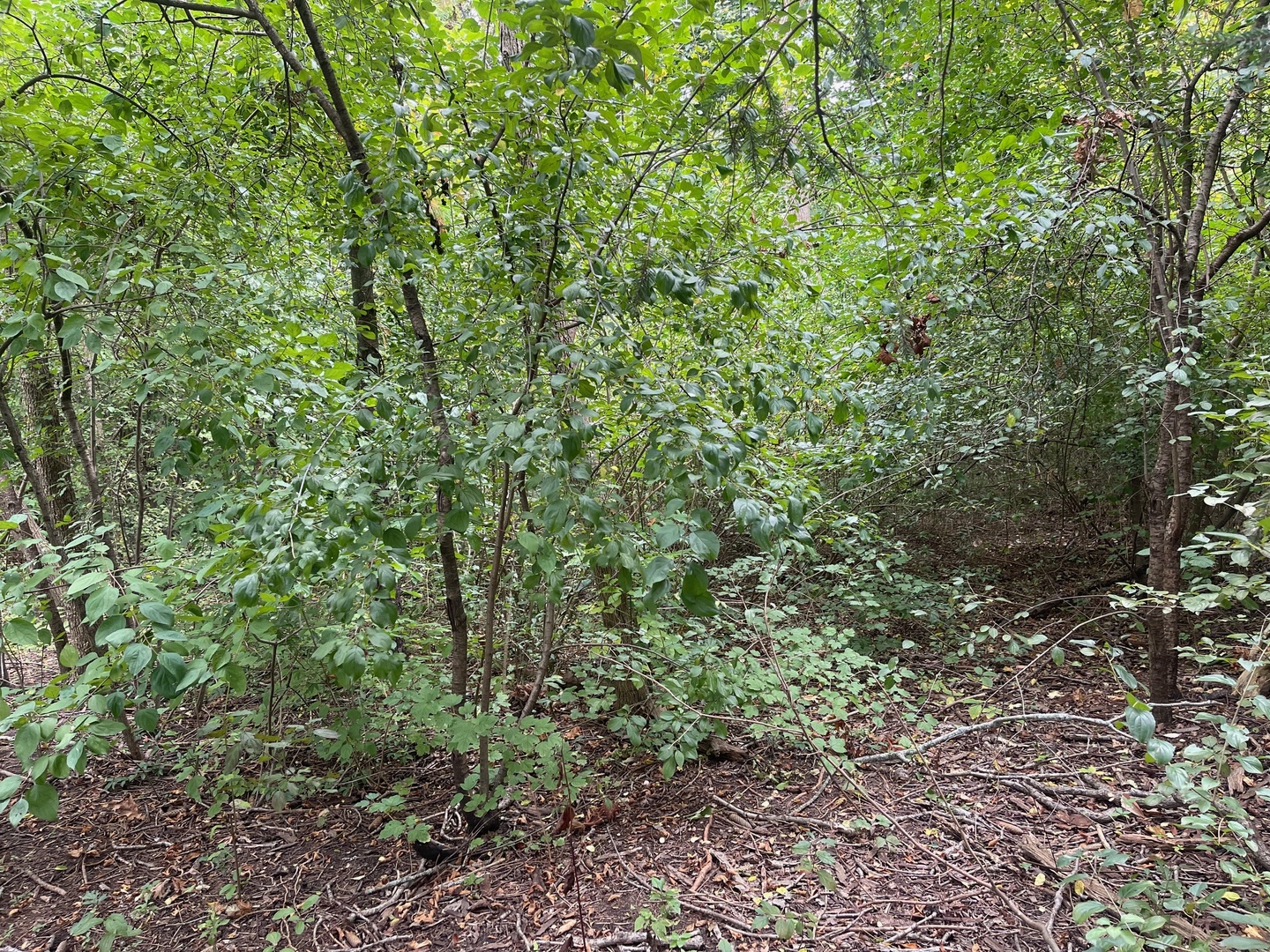 1351 N Sheridan Road Property Photo 8