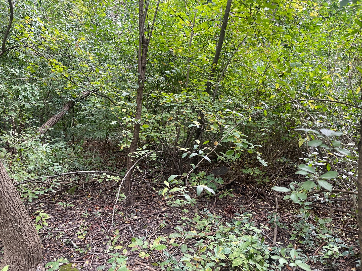 1351 N Sheridan Road Property Photo 9