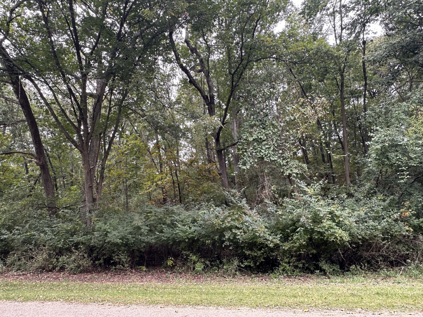 619 Mississippi Drive Property Photo 3