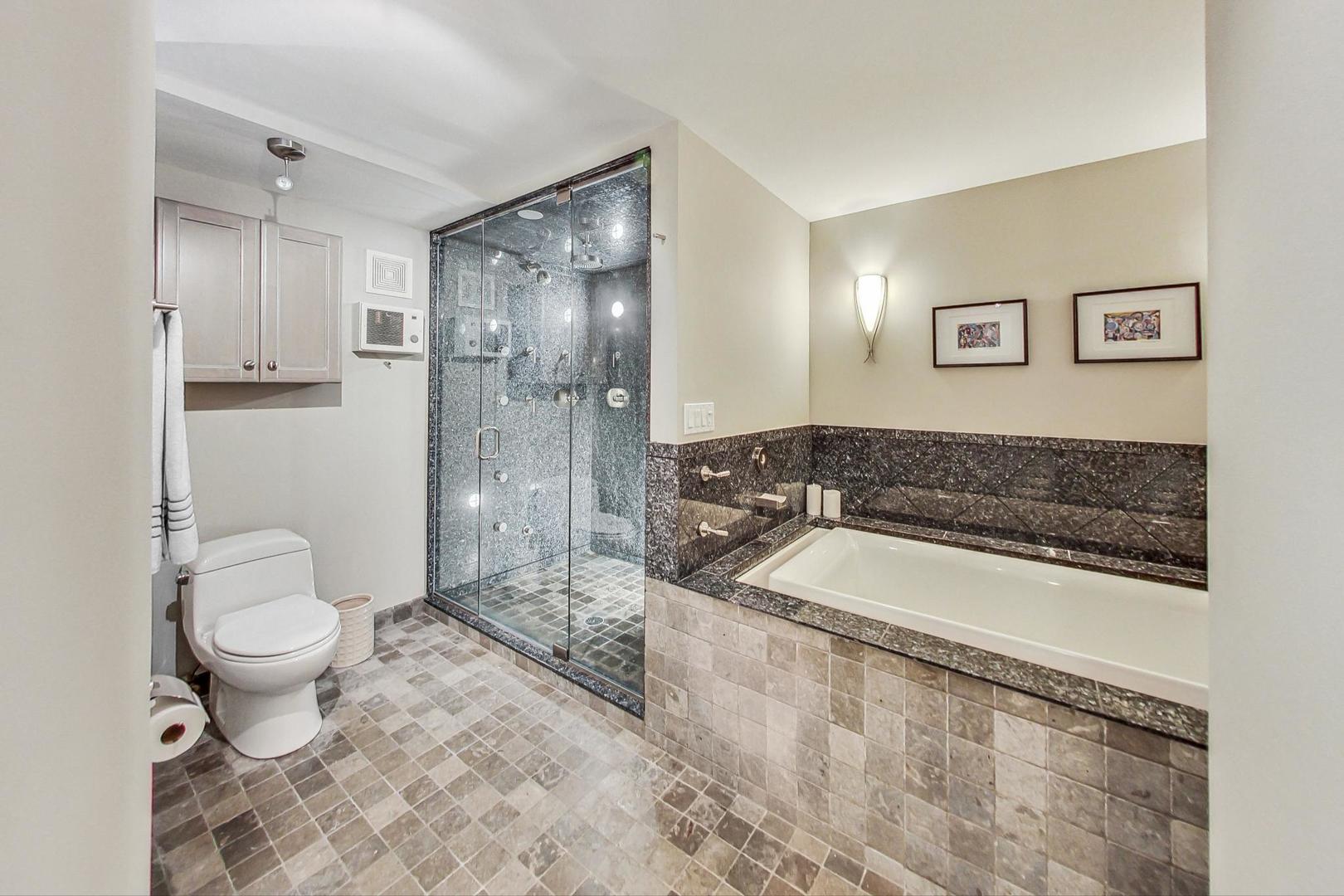 505 N Lake Shore Drive 708-709 Property Photo 38