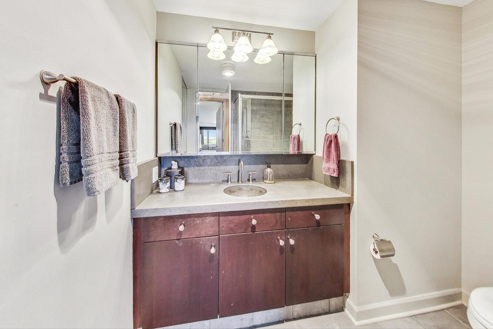 505 N Lake Shore Drive 708-709 Property Photo 44