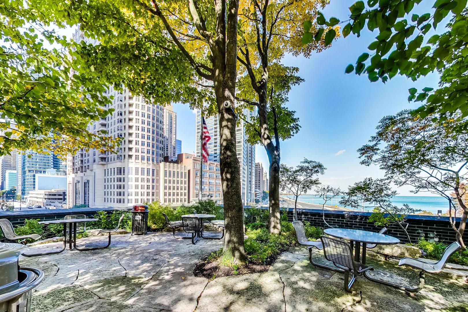 505 N Lake Shore Drive 708-709 Property Photo 62