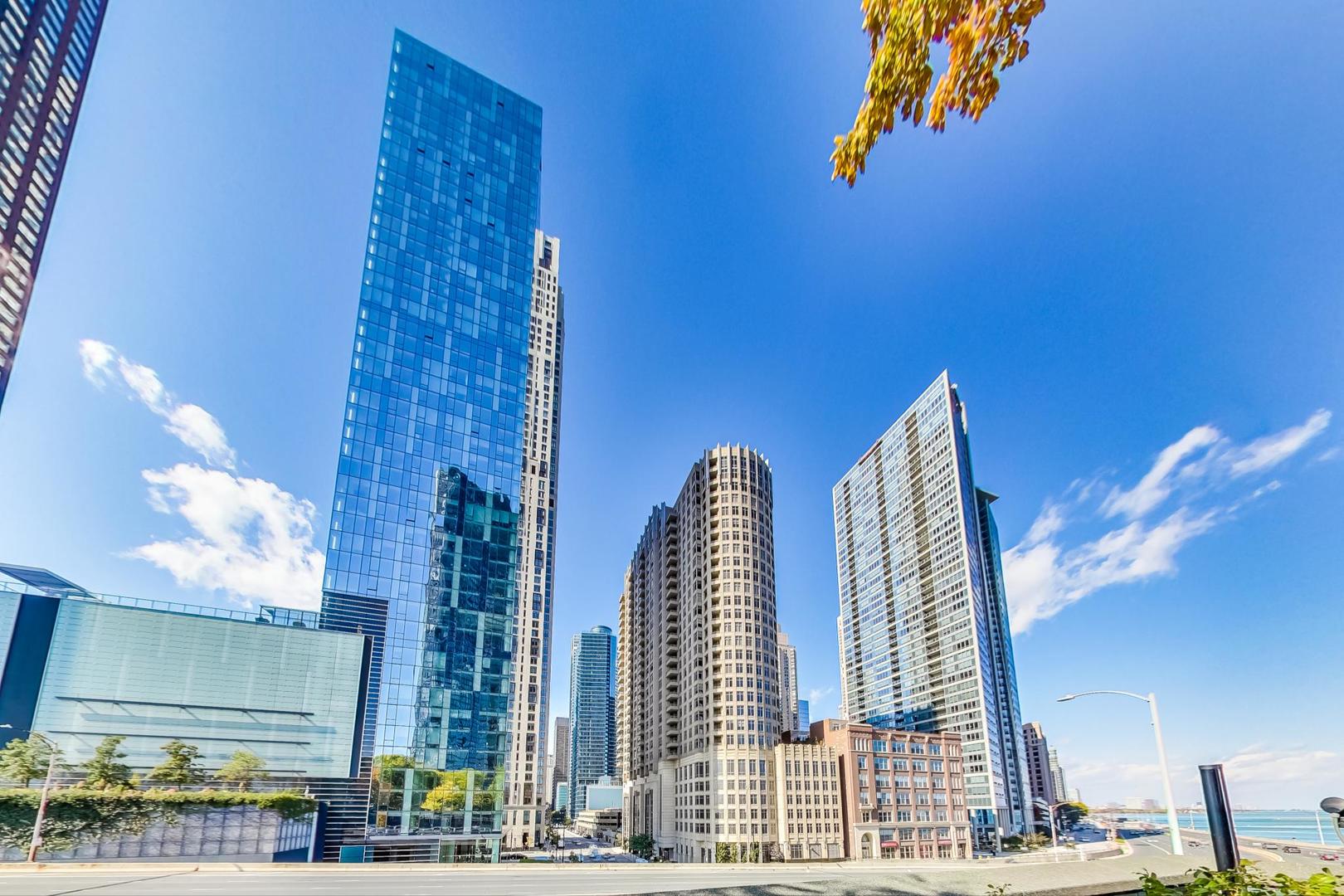 505 N Lake Shore Drive 708-709 Property Photo 63