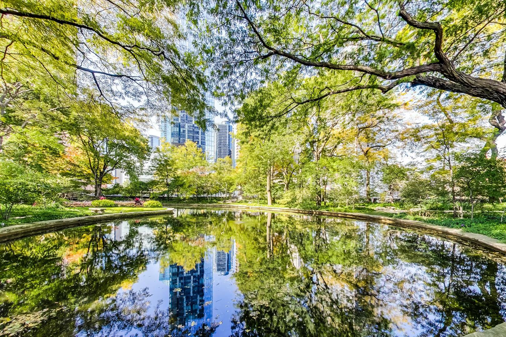 505 N Lake Shore Drive 708-709 Property Photo 65