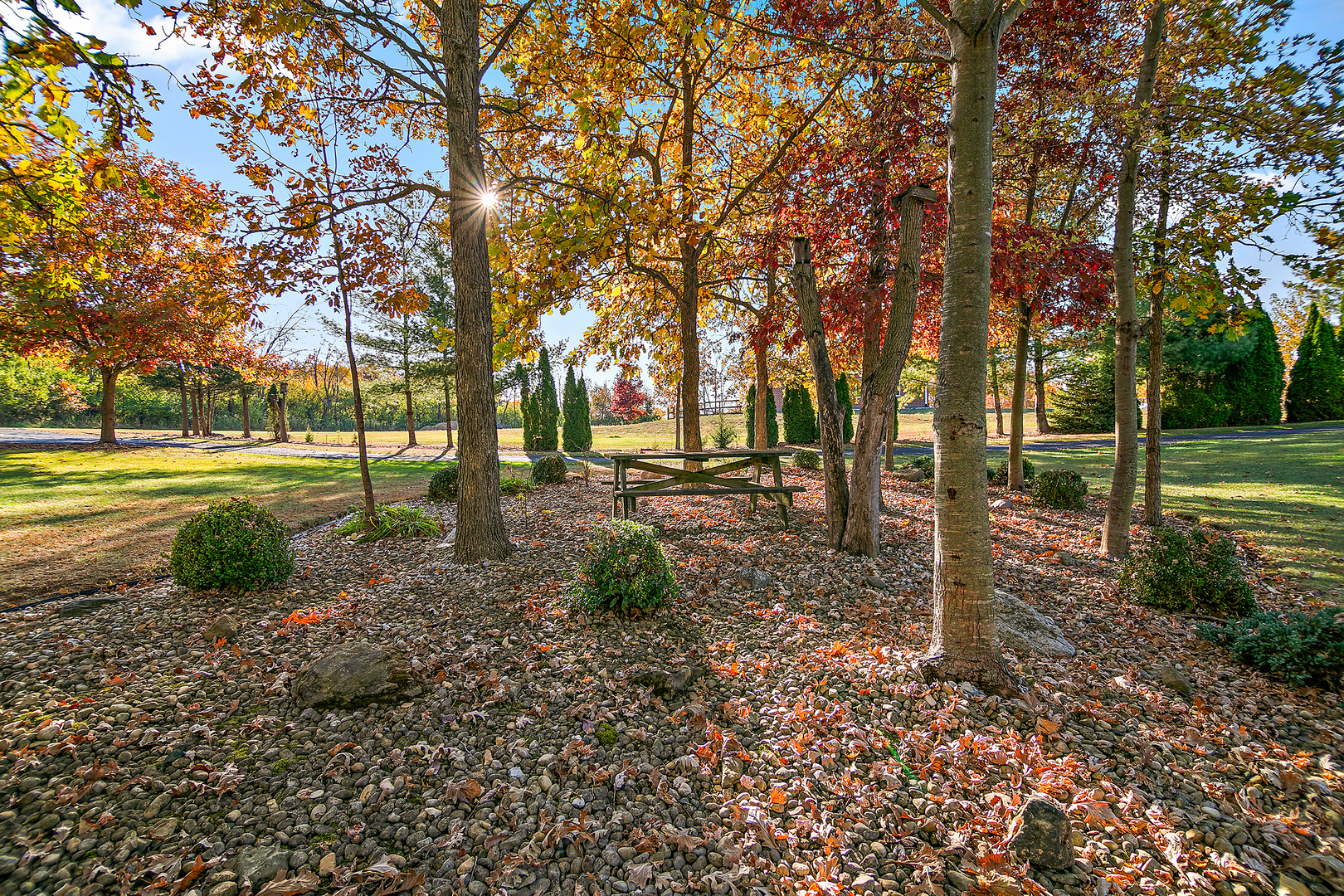 6125 Tulip Lane Property Photo 8