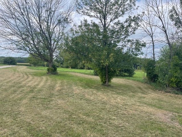 10810 Tabler Rd Property Photo 6